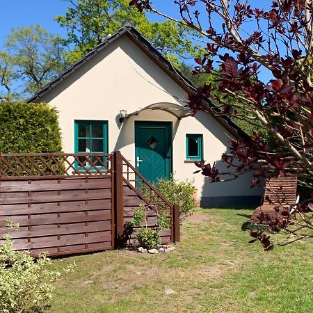„Rentmeisterhaus Basedow“ Basedow  المظهر الخارجي الصورة